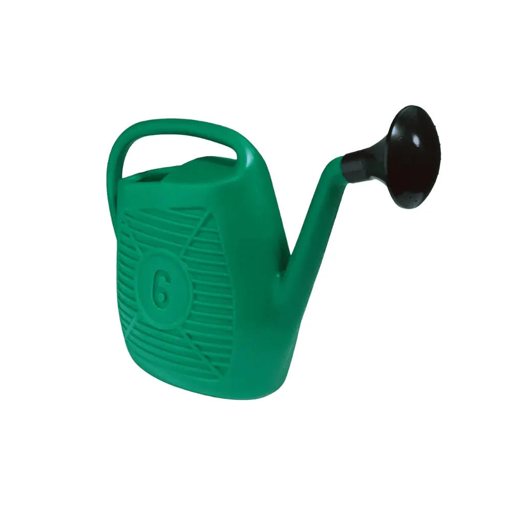 21091-jpg.webp Annaffiatoio da Giardino Ecoplast 6L – In Plastica Verde Resistente, Made in Italy – Comodo e Leggero - immagine 1