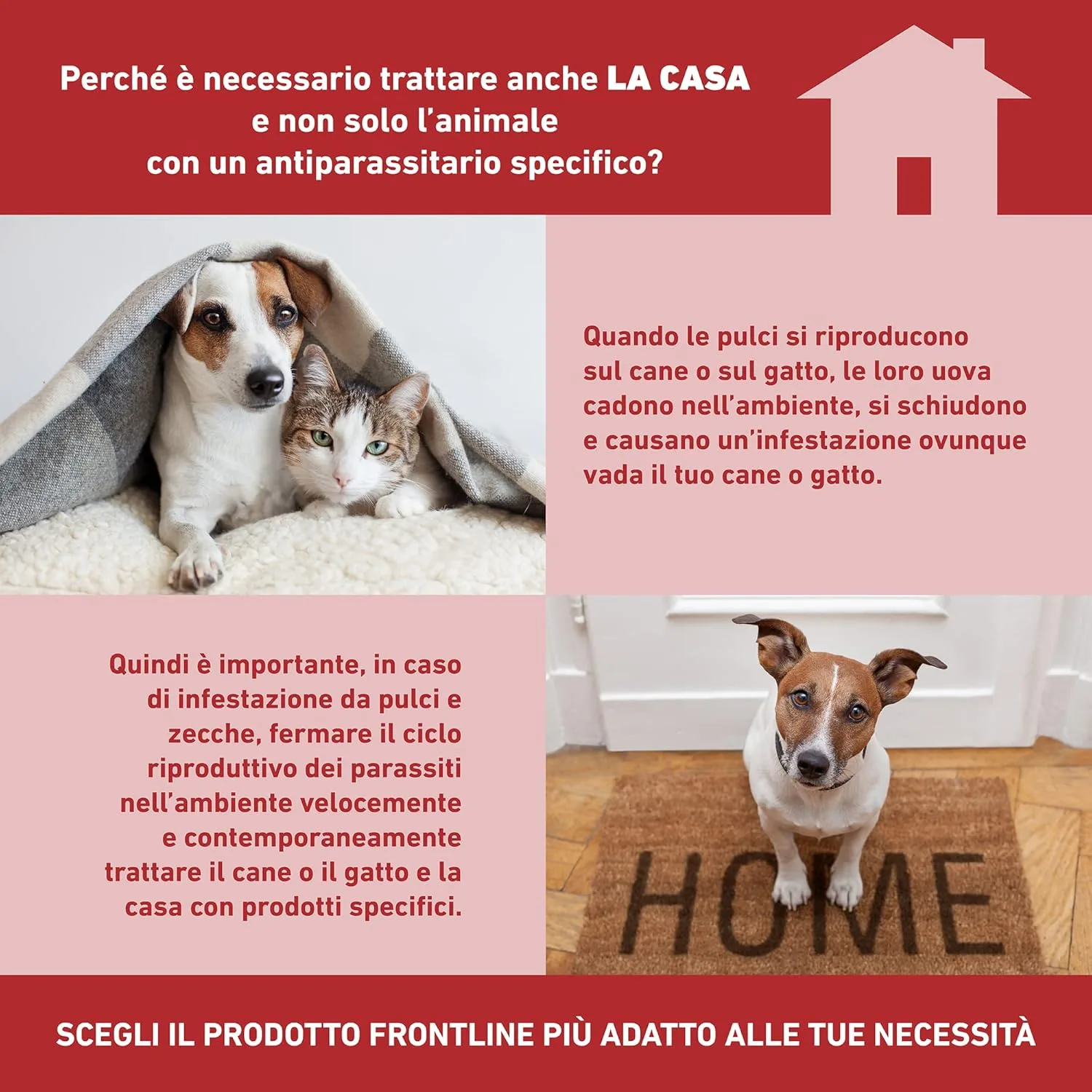 Frontline Homegard Spray 250 ml – Insetticida Antipulci per Ambienti, Azione Rapida fino a 6 Mesi contro Pulci, Zecche, Uova e Larve - immagine 6