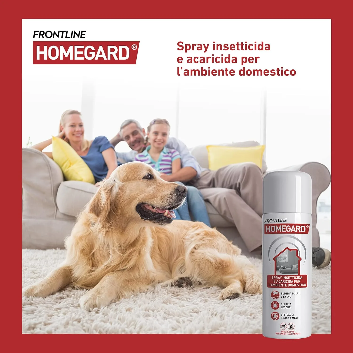 Frontline Homegard Spray 250 ml – Insetticida Antipulci per Ambienti, Azione Rapida fino a 6 Mesi contro Pulci, Zecche, Uova e Larve - immagine 7