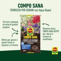 Compo Sana –  Terriccio Gerani 50 L – Terriccio di Qualità per Gerani e Piante da Balcone in Cassetta e Fioriera - immagine 3