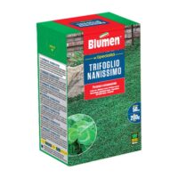Blumen – Semi Prato Erboso Folto e Compatto 200 g – Miscuglio Erba da Giardino Resistente al Caldo e alla Siccità, Ideale per Ambienti Freschi