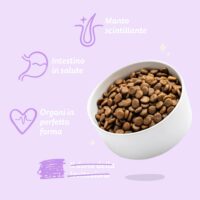 Edgard & Cooper – Crocchette Cani Adulti Medium 7 kg – Senza Cereali con Anatra Fresca, Ricetta Ipoallergenica e Naturale - immagine 5