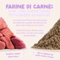 Edgard & Cooper – Crocchette Cani Adulti Medium 12 kg – Senza Cereali con Anatra Fresca, Ricetta Ipoallergenica e Naturale - immagine 8