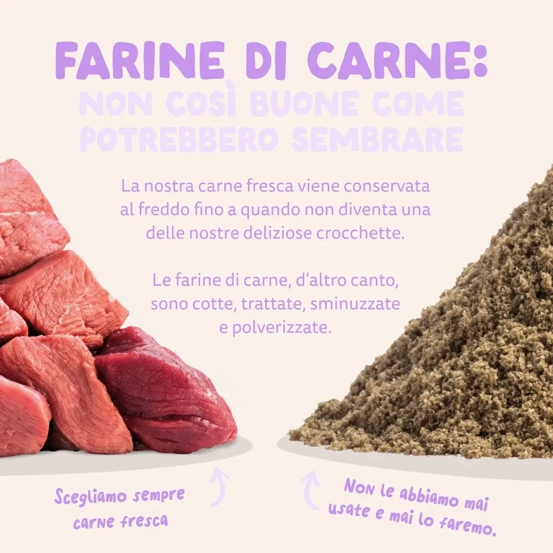 Edgard & Cooper – Crocchette Cani Adulti Medium 12 kg – Senza Cereali con Anatra Fresca, Ricetta Ipoallergenica e Naturale - immagine 8