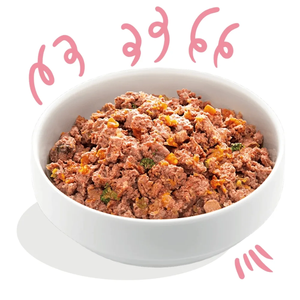 Edgard & Cooper Cibo Umido Cuccioli 6x400g Anatra e Pollo Fresco – Senza Cereali Puppy – Naturale e Ipoallergenico - immagine 3