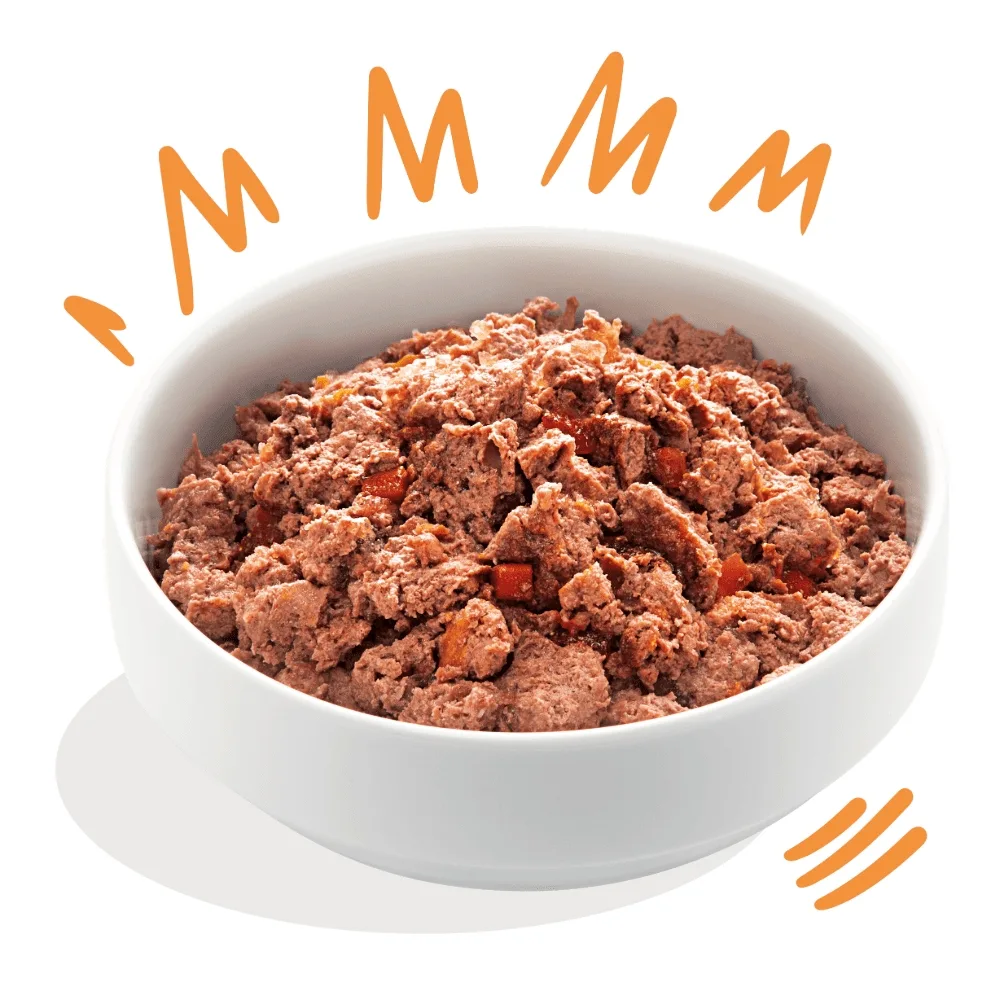 Edgard & Cooper Cibo Umido Cani Adulti 6x400g Pollo e Tacchino Fresco – Senza Cereali e Naturale – Ipoallergenico Multipack - immagine 2