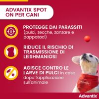 Advantix – Spot-on Cani Taglia Media (10-25 kg) – Antiparassitario Completo 4 Pipette – Prevenzione Leishmaniosi - immagine 3