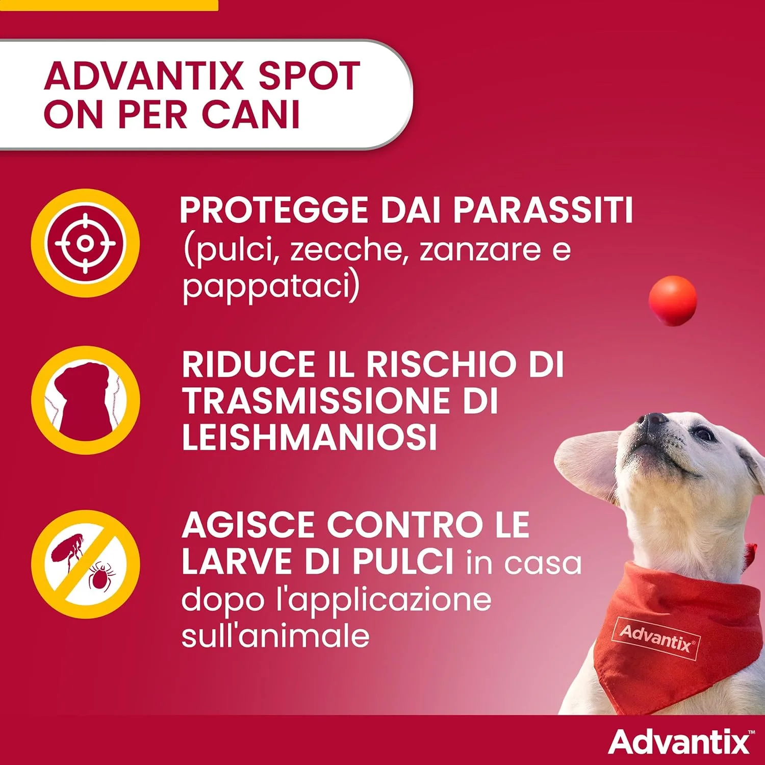 Advantix – Spot-on Cani Taglia Media (10-25 kg) – Antiparassitario Completo 4 Pipette – Prevenzione Leishmaniosi - immagine 3