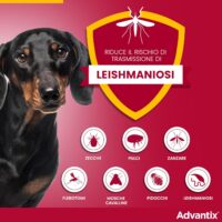 Advantix – Spot-on Cani Taglia Media (10-25 kg) – Antiparassitario Completo 4 Pipette – Prevenzione Leishmaniosi - immagine 4