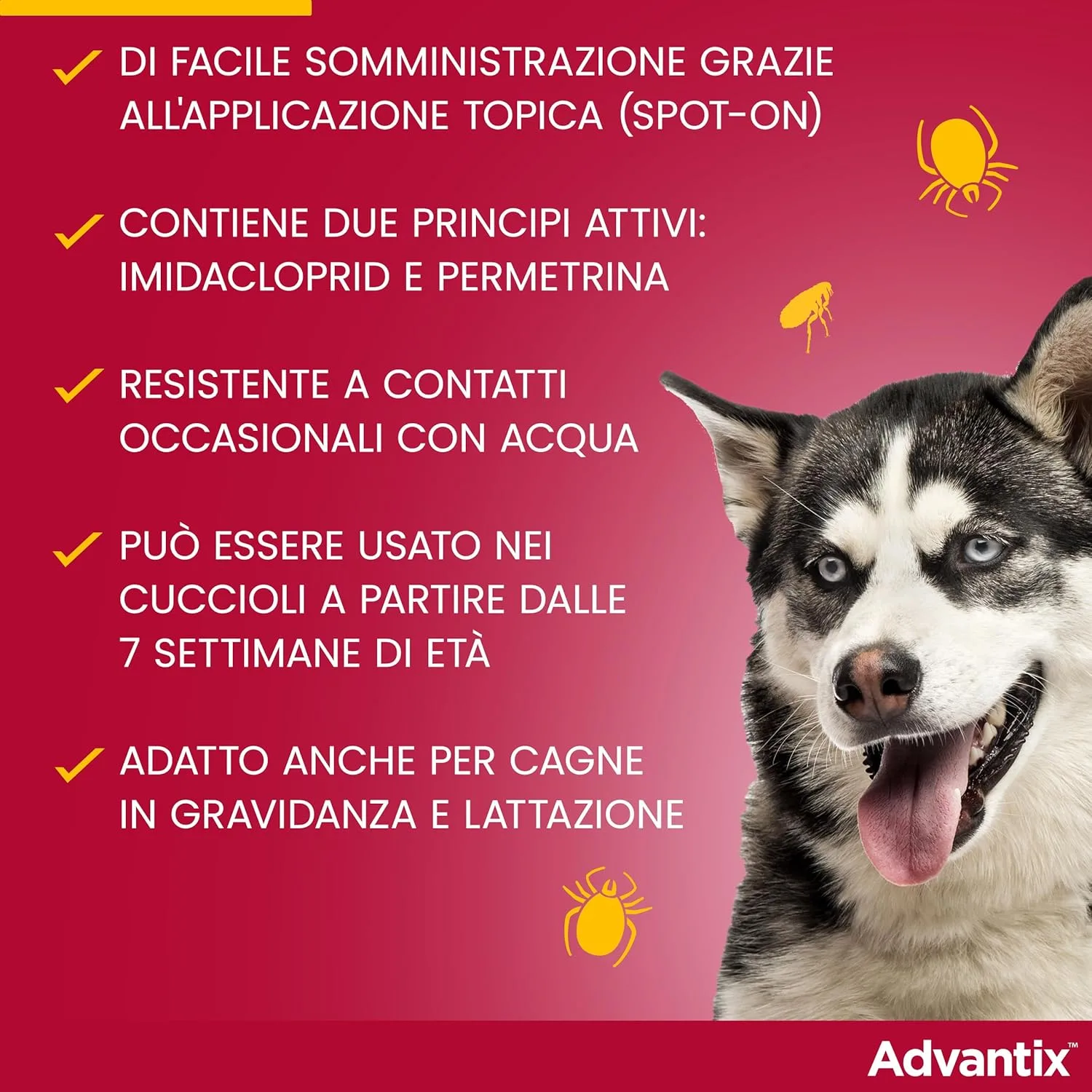 Advantix – Spot-on Cani Taglia Media (10-25 kg) – Antiparassitario Completo 4 Pipette – Prevenzione Leishmaniosi - immagine 5