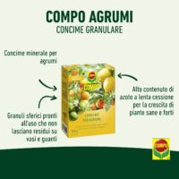 Compo – Concime per Agrumi a Lenta Cessione - 850 g - Nutrizione 6 Mesi - Con Misurino Dosatore - Per Limoni, Aranci e Mandarini - immagine 2