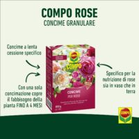Compo – Concime per Rose a Lenta Cessione - 1 kg - Nutrizione Stagionale 6 Mesi - Per Fioriture Abbondanti e Profumate - immagine 2
