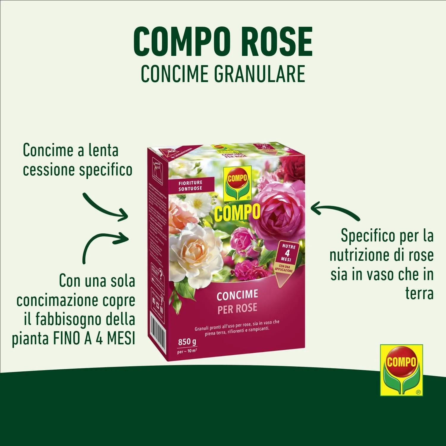 Compo – Concime per Rose a Lenta Cessione - 1 kg - Nutrizione Stagionale 6 Mesi - Per Fioriture Abbondanti e Profumate - immagine 2