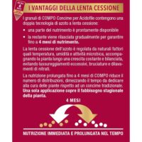 Compo – Concime per Rose a Lenta Cessione - 1 kg - Nutrizione Stagionale 6 Mesi - Per Fioriture Abbondanti e Profumate - immagine 4