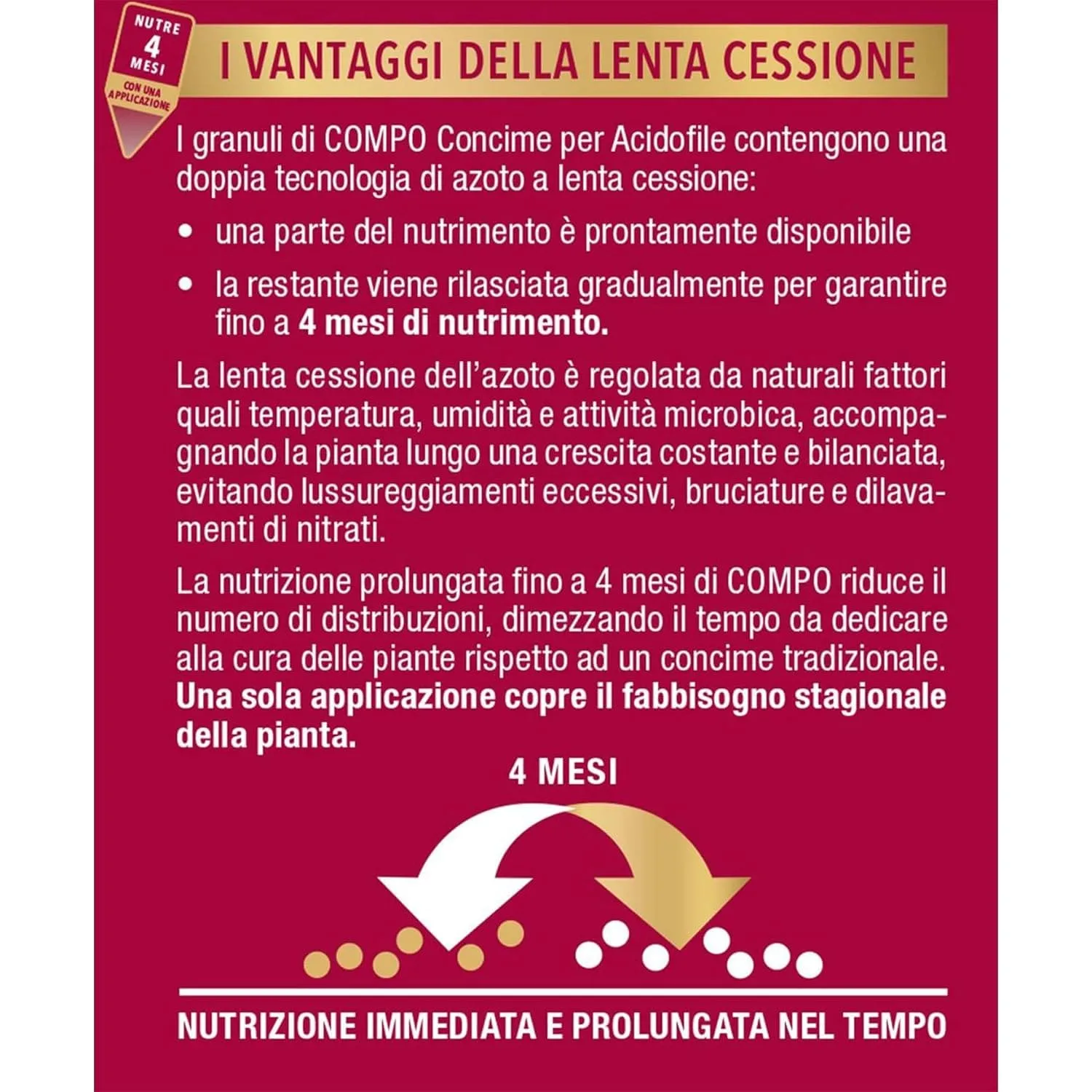 Compo – Concime per Rose a Lenta Cessione - 1 kg - Nutrizione Stagionale 6 Mesi - Per Fioriture Abbondanti e Profumate - immagine 4