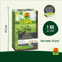 Compo –  Semi Prato Veloce - 1 kg - Crescita Rapida e Folta - Ideale per Risemina e Riparazione Prato - Fino a 50 mq - immagine 2
