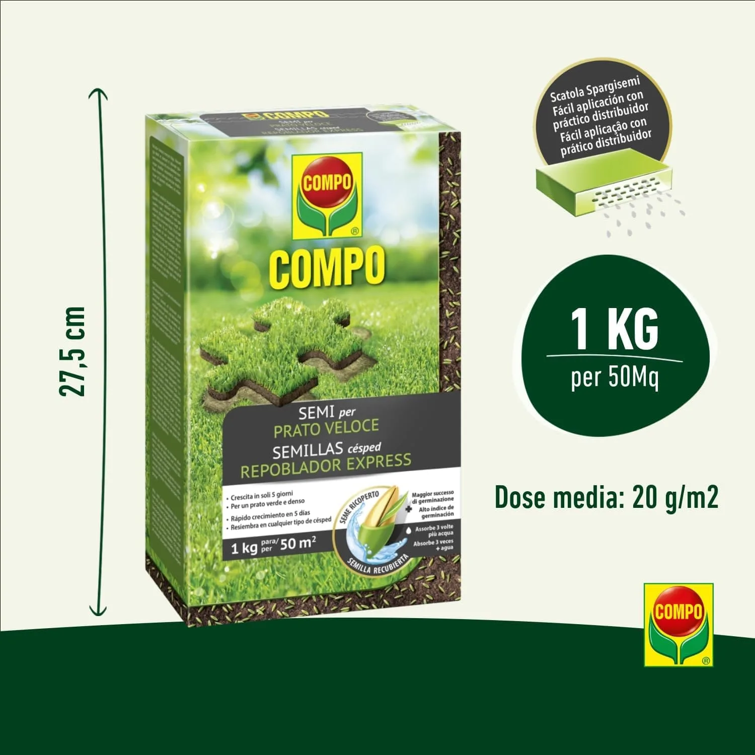 Compo –  Semi Prato Veloce - 1 kg - Crescita Rapida e Folta - Ideale per Risemina e Riparazione Prato - Fino a 50 mq - immagine 2