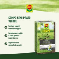 Compo –  Semi Prato Veloce - 1 kg - Crescita Rapida e Folta - Ideale per Risemina e Riparazione Prato - Fino a 50 mq - immagine 3