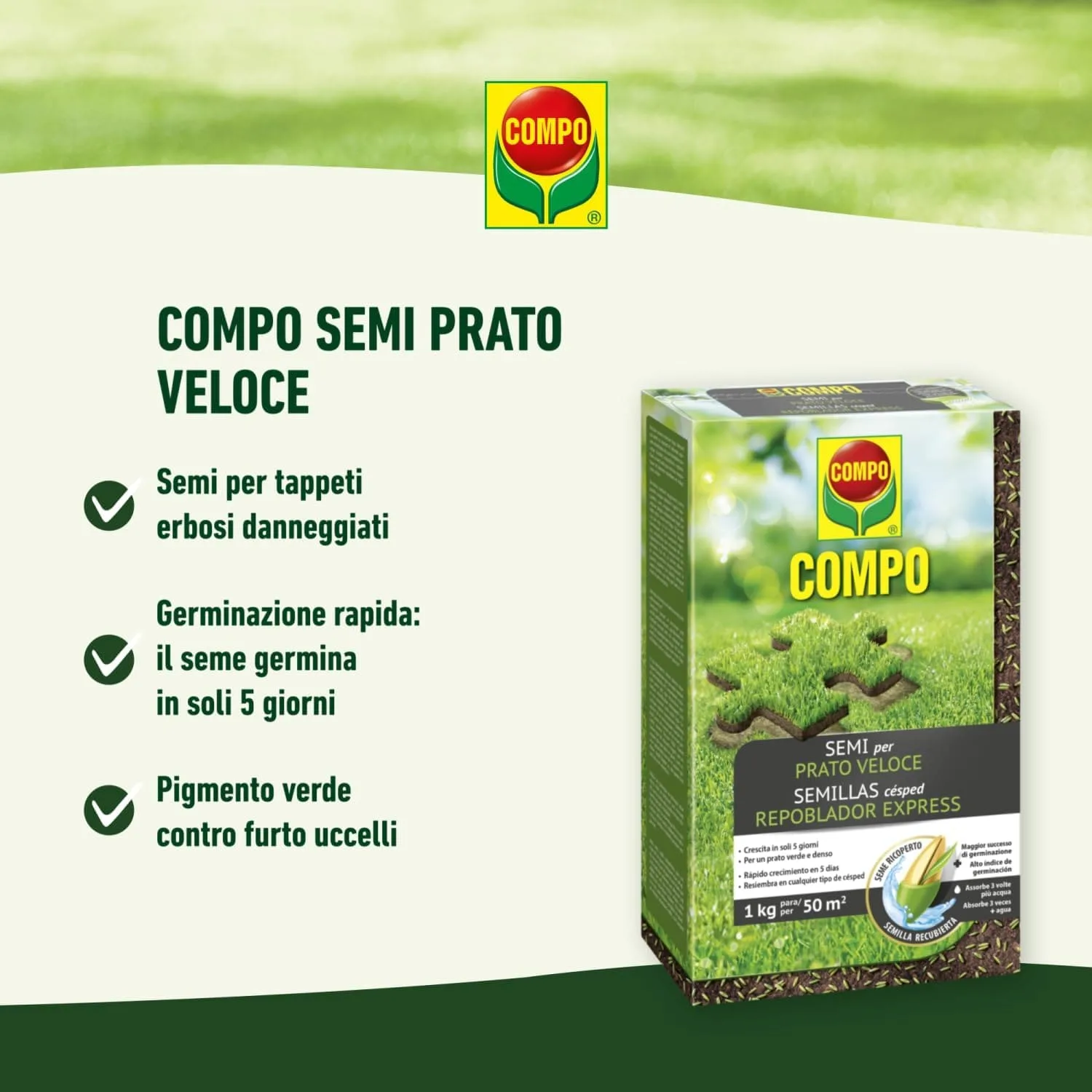 Compo –  Semi Prato Veloce - 1 kg - Crescita Rapida e Folta - Ideale per Risemina e Riparazione Prato - Fino a 50 mq - immagine 3