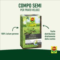 Compo –  Semi Prato Veloce - 1 kg - Crescita Rapida e Folta - Ideale per Risemina e Riparazione Prato - Fino a 50 mq - immagine 4