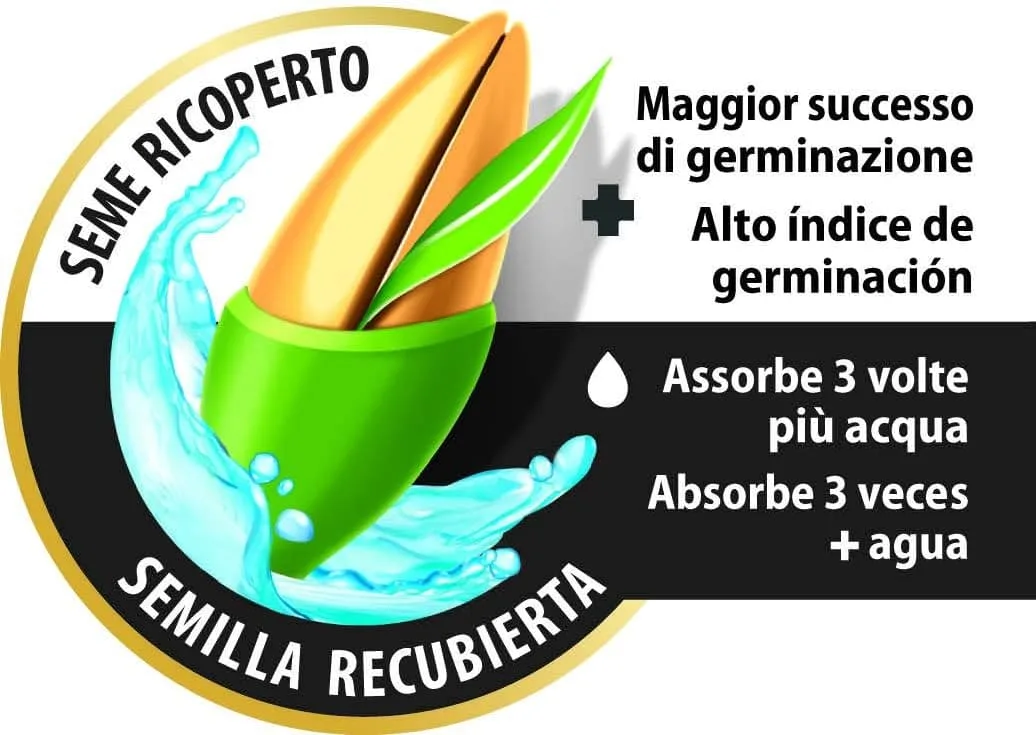 Compo –  Semi Prato Veloce - 1 kg - Crescita Rapida e Folta - Ideale per Risemina e Riparazione Prato - Fino a 50 mq - immagine 5