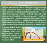 Compo –  Floranid Prato - Concime Professionale 4 kg - Tecnologia Isodur® Lenta Cessione 4 Mesi - Per un Prato Verde e Robusto - immagine 2