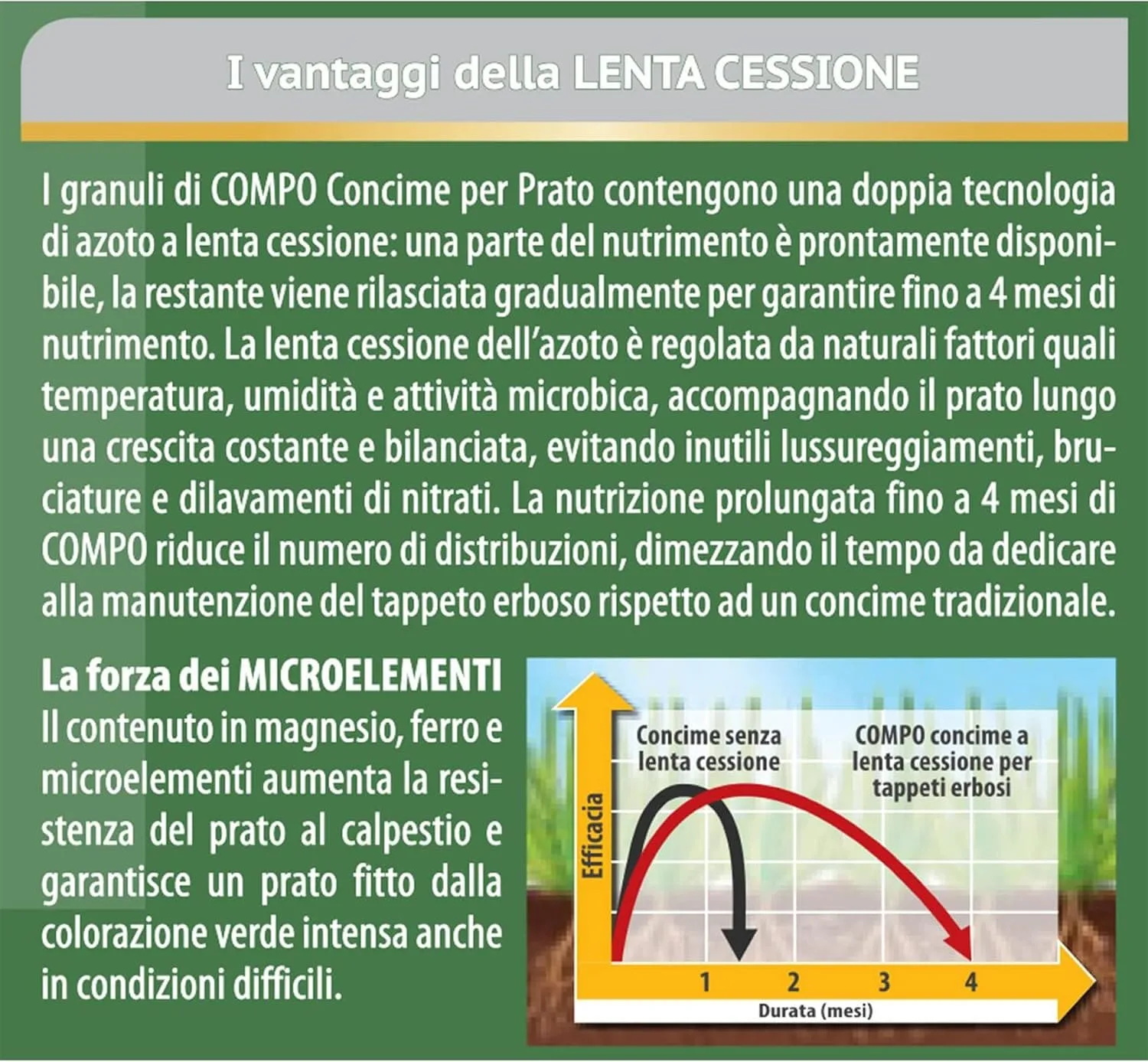 Compo –  Floranid Prato - Concime Professionale 4 kg - Tecnologia Isodur® Lenta Cessione 4 Mesi - Per un Prato Verde e Robusto - immagine 2