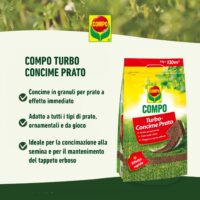 Compo –  Turbo Concime per Prato - 1 kg - Effetto Rinverdente Immediato - Ideale per Rigenerazione e Prati Sofferenti - Fino a 50 mq - immagine 3