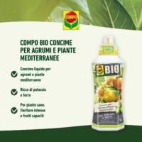 Compo Bio – Concime per Agrumi e Piante Mediterranee - 1 Litro - 100% Naturale - Consentito in Agricoltura Biologica - Per Limoni, Aranci e Ulivi - immagine 6