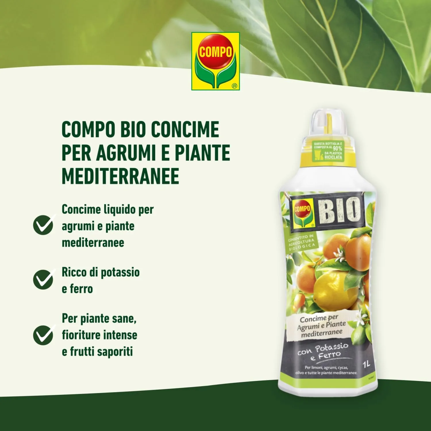 Compo Bio – Concime per Agrumi e Piante Mediterranee - 1 Litro - 100% Naturale - Consentito in Agricoltura Biologica - Per Limoni, Aranci e Ulivi - immagine 6