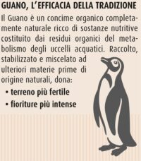 Compo Bio –  Concime per Rose - 2 Kg - 100% Organico Naturale - Consentito in Agricoltura Biologica - Per Fioriture Intense e Profumate - immagine 4