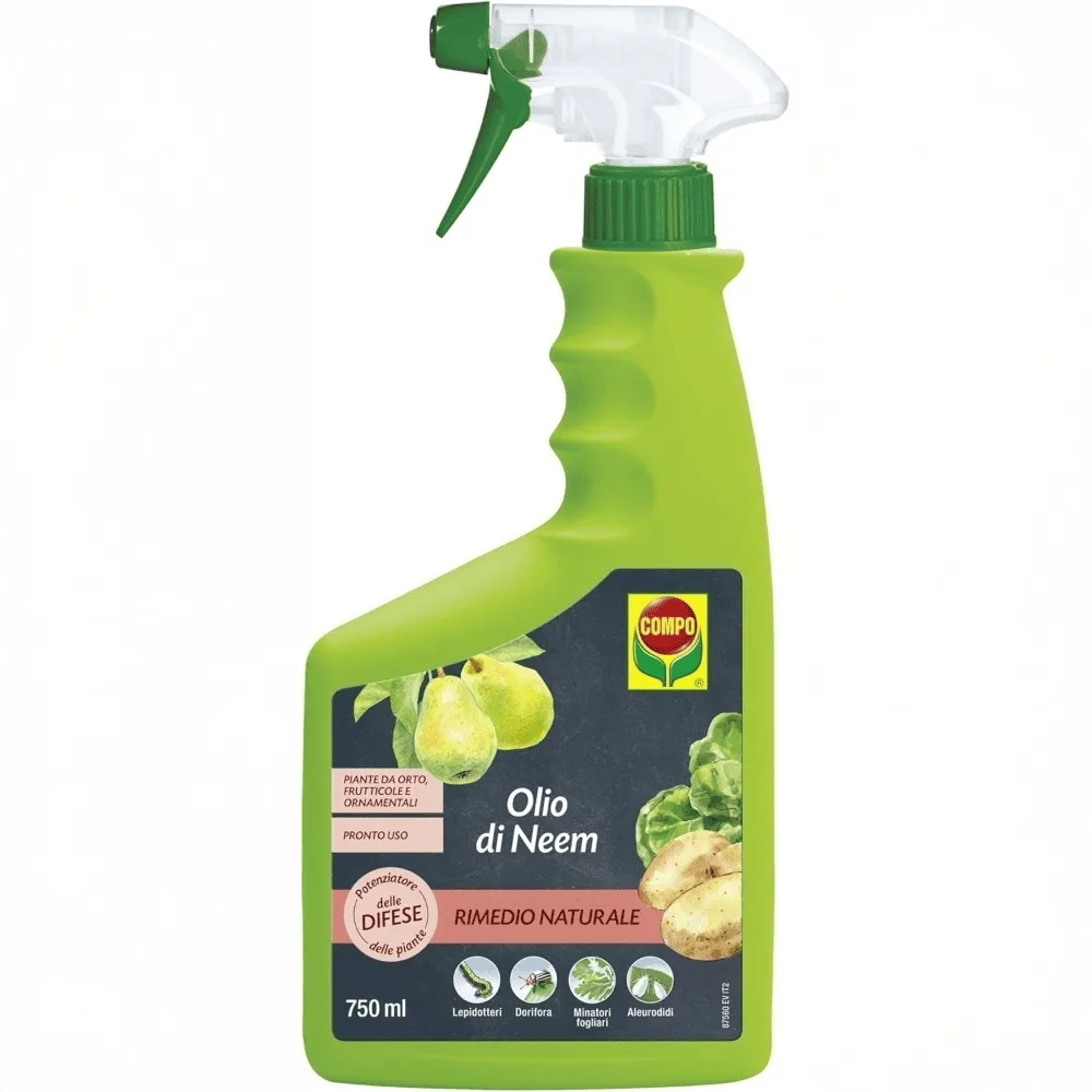 compo-olio-di-neem-pronto-uso-trigger-750ml.jpg Flacone spray da 750 ml di Olio di Neem COMPO, soluzione naturale pronta all'uso per la protezione e la lucentezza delle foglie.