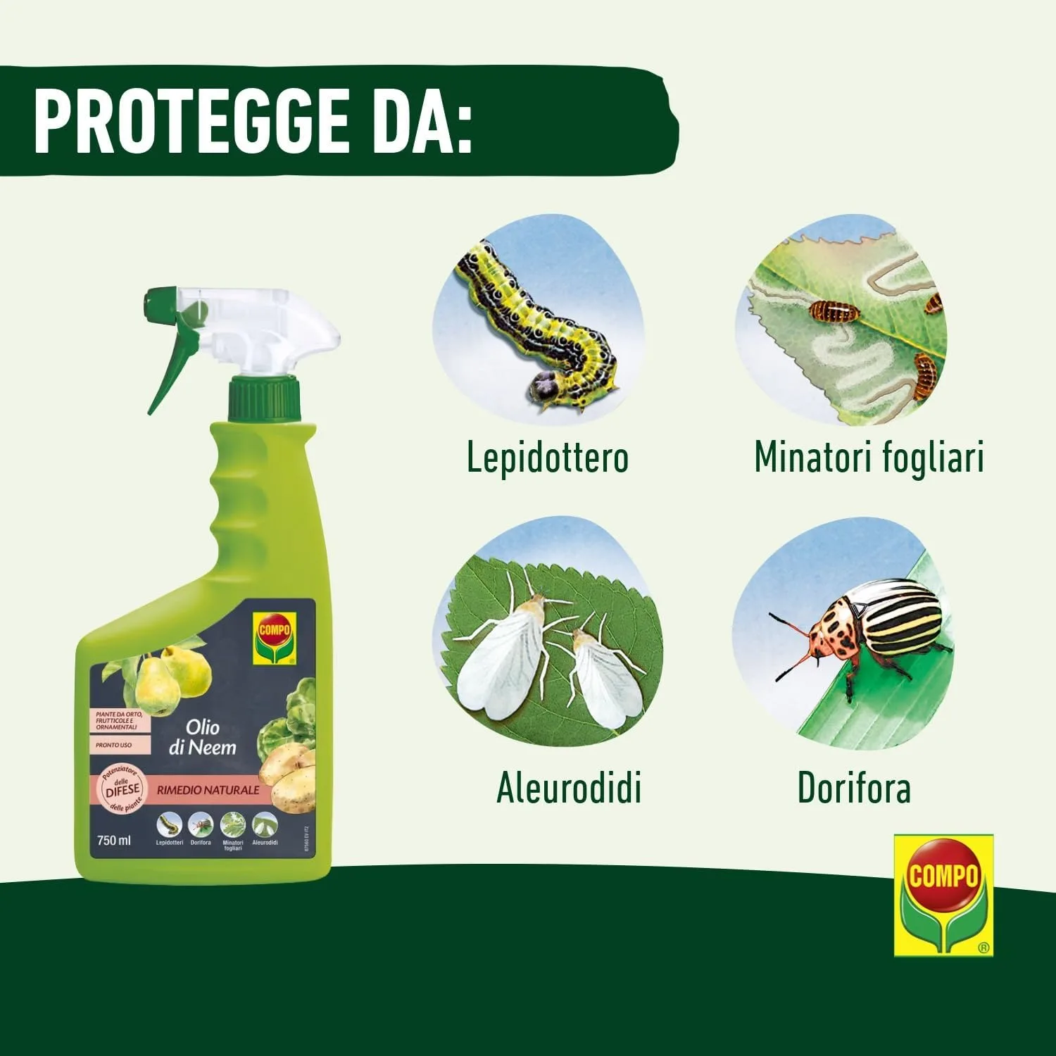 COMPO BIO –  Olio di Neem Pronto Uso - 750 ml - Protettivo Naturale per Piante e Fiori - 100% Vegetale - Consentito in Agricoltura Biologica - immagine 4