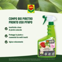 Compo Piretro Pronto Uso 750 ml Insetticida Naturale - immagine 4