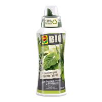 Flacone da 1 litro di concime organico COMPO BIO specifico per piante verdi da appartamento, con estratto vegetale per foglie brillanti.