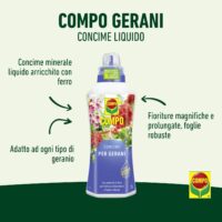 Compo – Concime per Gerani - 1 Litro - Favorisce Fioriture Intense e Prolungate - Con Microelementi per Piante da Balcone Sane - immagine 3