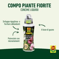Compo – Concime per Piante Fiorite con Guano - 1 Litro - Stimola la Fioritura e l'Intensità dei Colori - Per Balcone e Interno - immagine 2