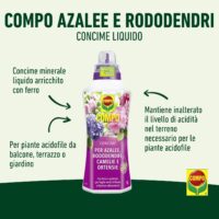 Compo – Concime per Azalee, Rododendri e Camelie - 1 Litro - Previene l'Ingiallimento Fogliare e Favorisce Fioriture Prolungate - immagine 2