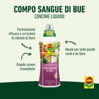 Compo – Nutrimento Sangue di Bue - 1 Litro - Concime Liquido Rinverdente per Piante Verdi, Fiorite e Orto - Azione Rapida - immagine 2