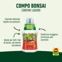 Compo – Concime per Bonsai - 250 ml - Favorisce uno Sviluppo Armonioso e Foglie Sane - Per Bonsai da Interno ed Esterno - immagine 3