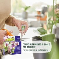 Compo – Nutrimento in Gocce per Orchidee - 5 Fiale da 30 ml - Pronto all'Uso - Nutre per 15 Giorni - Favorisce Fioriture Durature - immagine 3