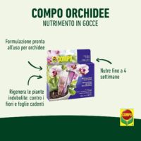 Compo – Nutrimento in Gocce per Orchidee - 5 Fiale da 30 ml - Pronto all'Uso - Nutre per 15 Giorni - Favorisce Fioriture Durature - immagine 4