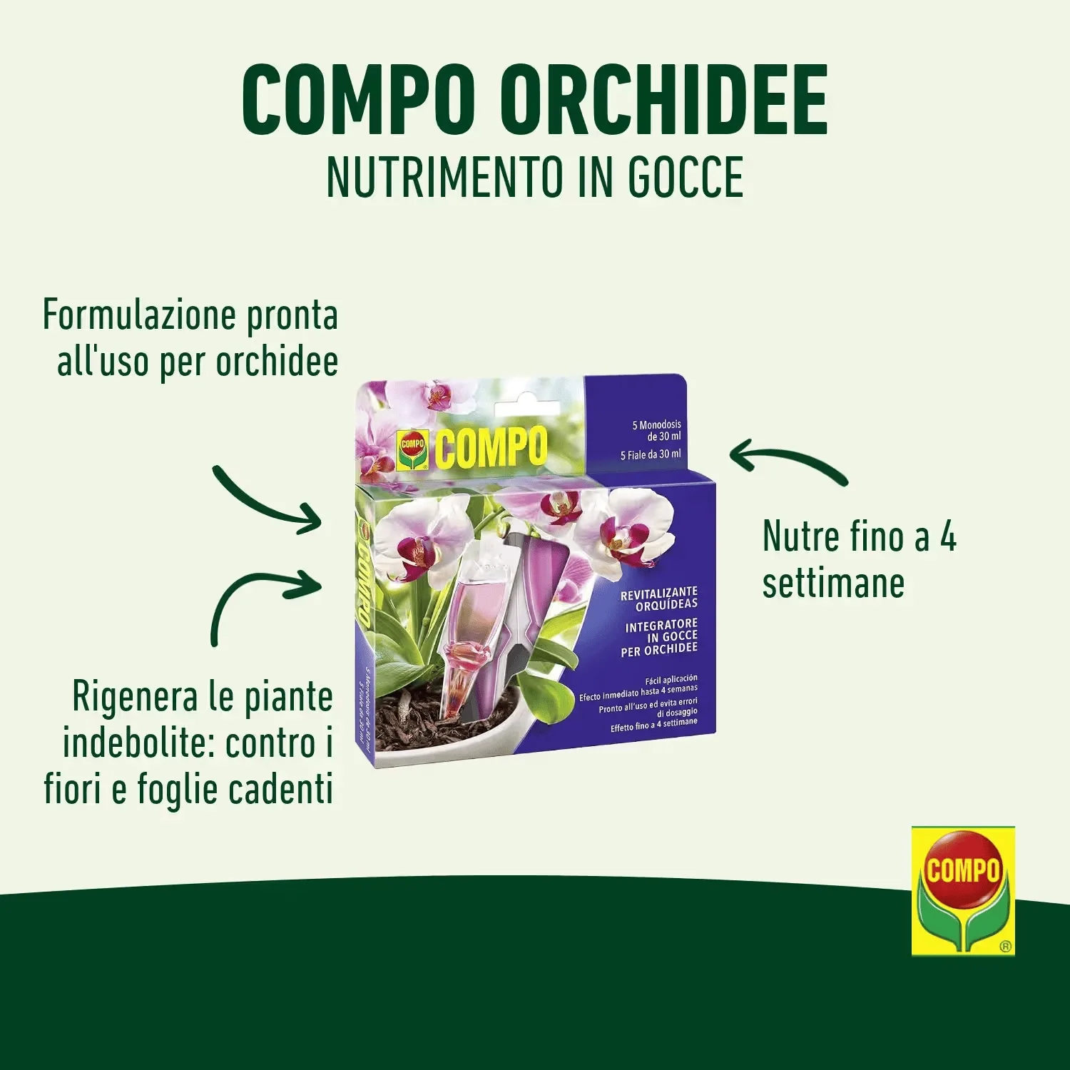 Compo – Nutrimento in Gocce per Orchidee - 5 Fiale da 30 ml - Pronto all'Uso - Nutre per 15 Giorni - Favorisce Fioriture Durature - immagine 4