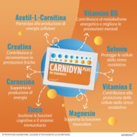Carnidyn Plus Integratore - 20 Bustine da 5 Gr – Contrasta Stanchezza Mentale e Fisica - Formula Potenziata con Carnitina e Creatina - Recupero Rapido - immagine 7