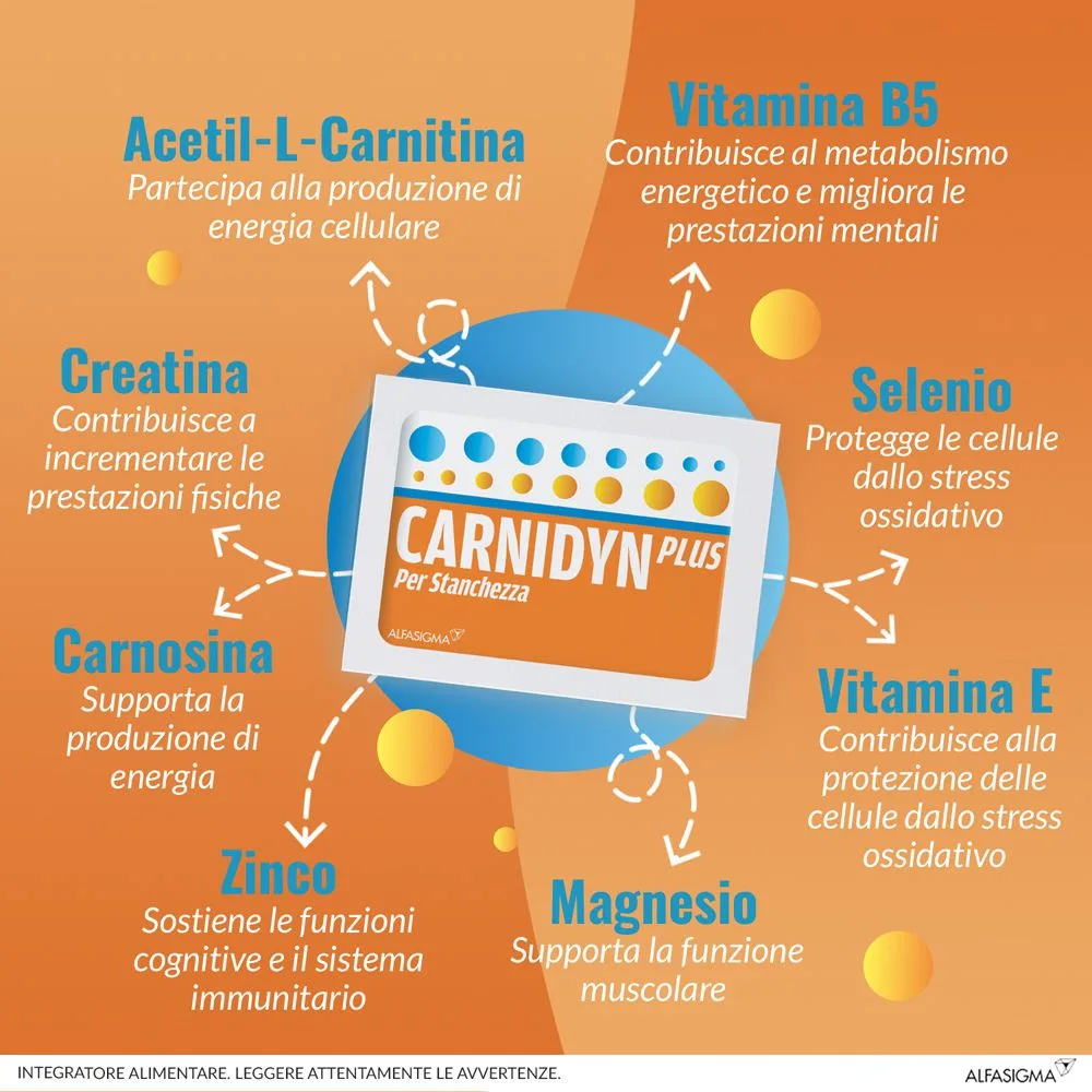 Carnidyn Plus Integratore - 20 Bustine da 5 Gr – Contrasta Stanchezza Mentale e Fisica - Formula Potenziata con Carnitina e Creatina - Recupero Rapido - immagine 7