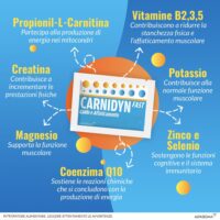 Carnidyn Fast Integratore - 20 Bustine – Contrasta Stanchezza Fisica e Caldo - Formula con Magnesio, Potassio e Creatina - Recupero Elettrolitico Rapido - immagine 7