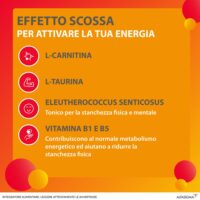 Carnidyn Boost Flaconcini - 10 Flaconcini – Pronta Energia da Bere - Contrasta la Stanchezza Immediatamente - Pratico e Tascabile - immagine 7