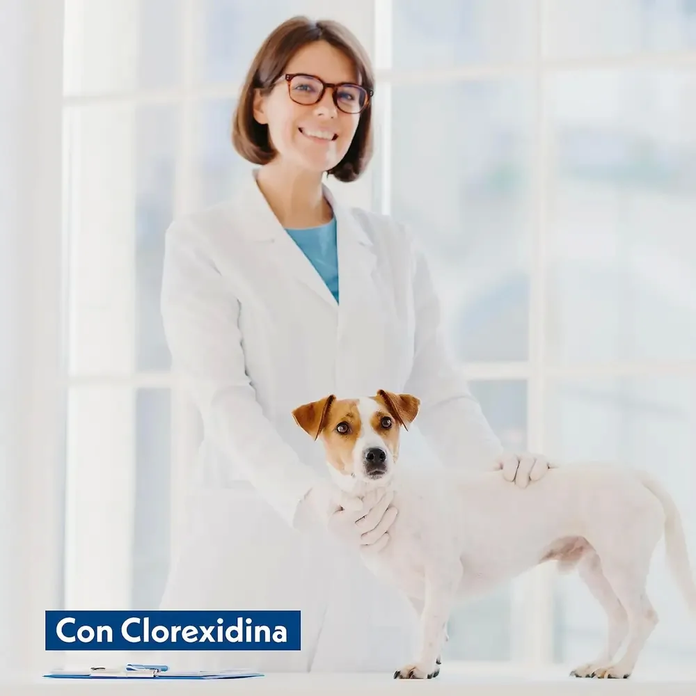 Salviettine Amore Mio al Latte e Miele - Igiene Pet Antibatterica - Ideali per Zampe e Mantello - Delicato e Sicuro - Cura Quotidiana - immagine 4
