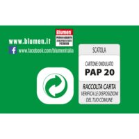 Blumen Prato Forte Premium 500 gr - Sementi Professionali Alta Resistenza - Tollera Calpestio e Siccità - Verde Intenso Tutto l'Anno - immagine 2