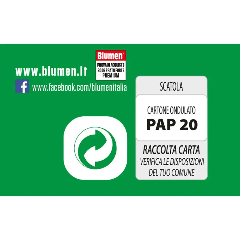Blumen Prato Forte Premium 500 gr - Sementi Professionali Alta Resistenza - Tollera Calpestio e Siccità - Verde Intenso Tutto l'Anno - immagine 2
